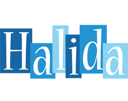 Halida winter logo