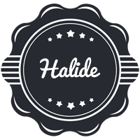 Halide badge logo