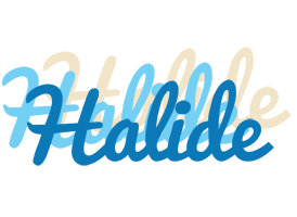 Halide breeze logo