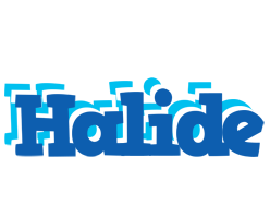 Halide business logo