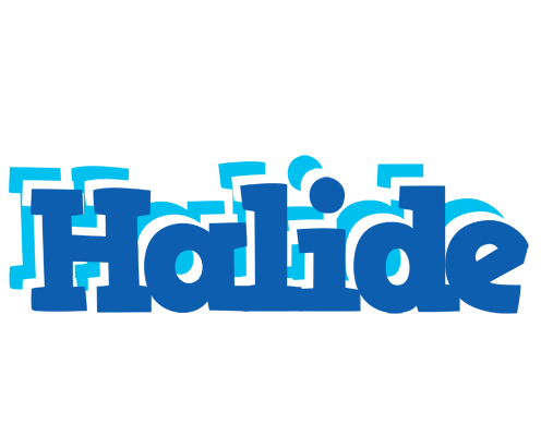 Halide business logo