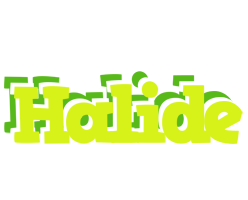 Halide citrus logo