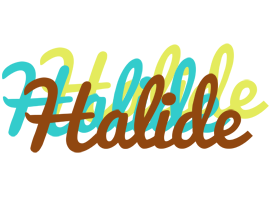 Halide cupcake logo