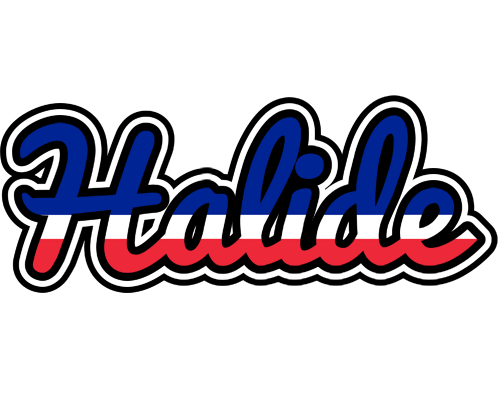 Halide france logo