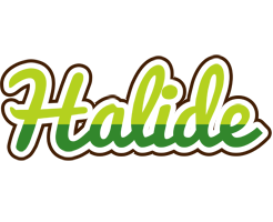 Halide golfing logo