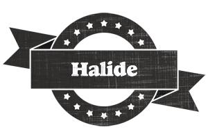 Halide grunge logo