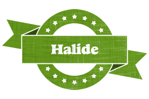 Halide natural logo