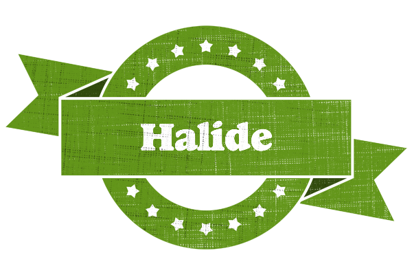 Halide natural logo