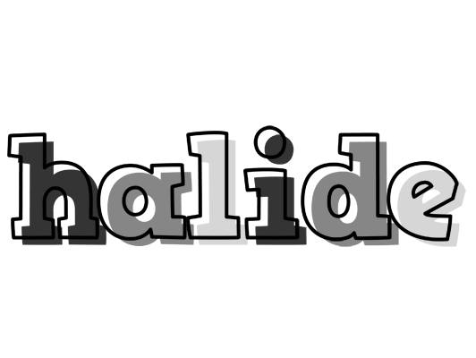 Halide night logo