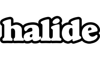 Halide panda logo