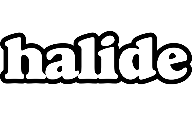 Halide panda logo