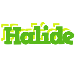 Halide picnic logo