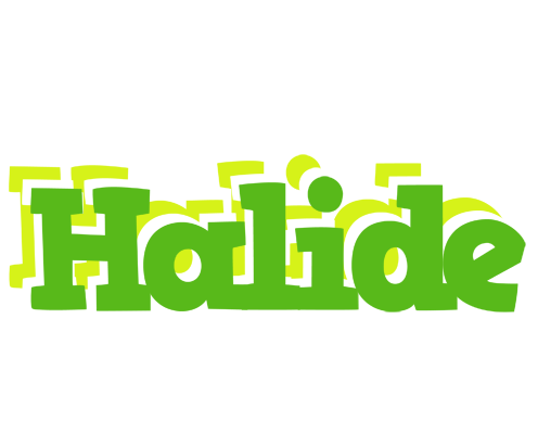 Halide picnic logo