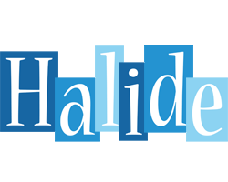 Halide winter logo