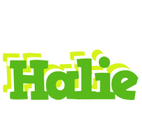 Halie picnic logo