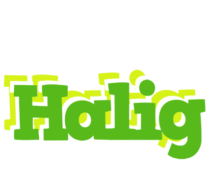 Halig picnic logo
