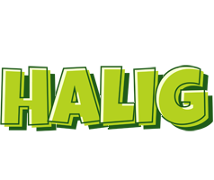 Halig summer logo