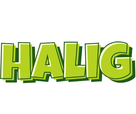 Halig summer logo