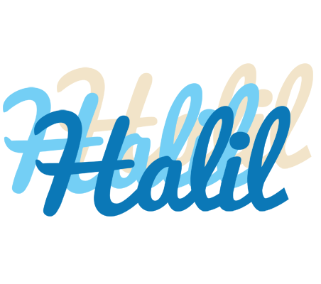 Halil breeze logo