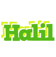 Halil picnic logo