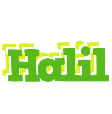 Halil picnic logo