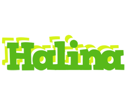 Halina picnic logo