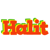 Halit bbq logo