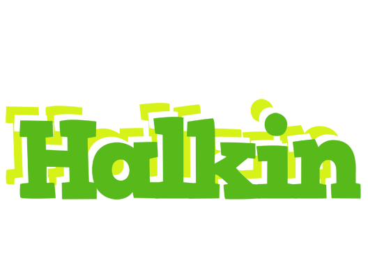 Halkin picnic logo