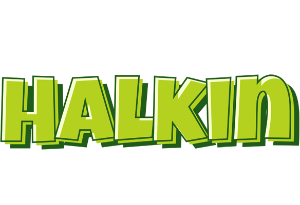 Halkin summer logo