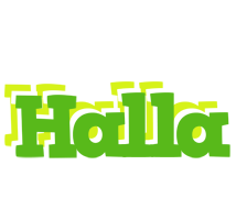 Halla picnic logo