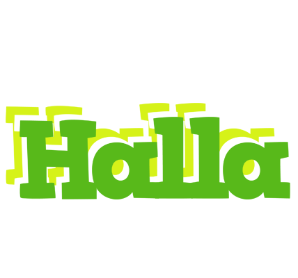 Halla picnic logo