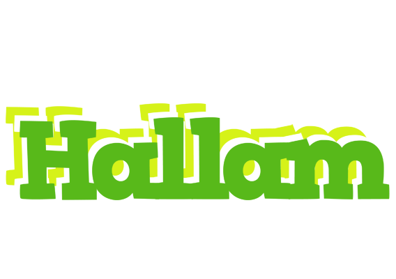 Hallam picnic logo