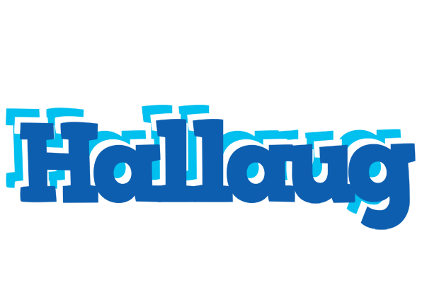 Hallaug business logo