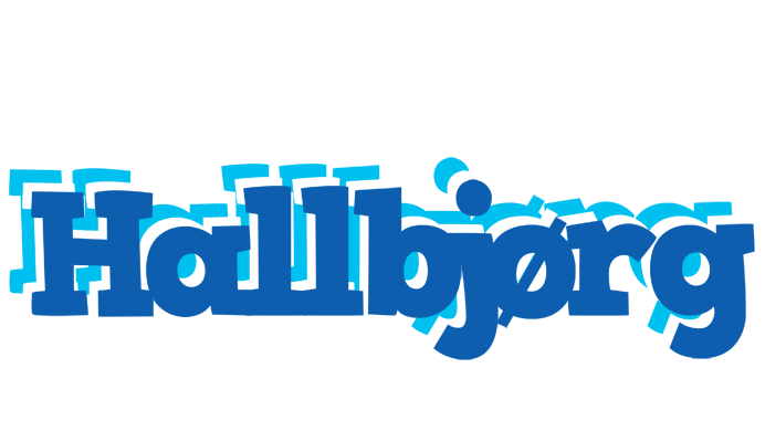 Hallbjørg business logo