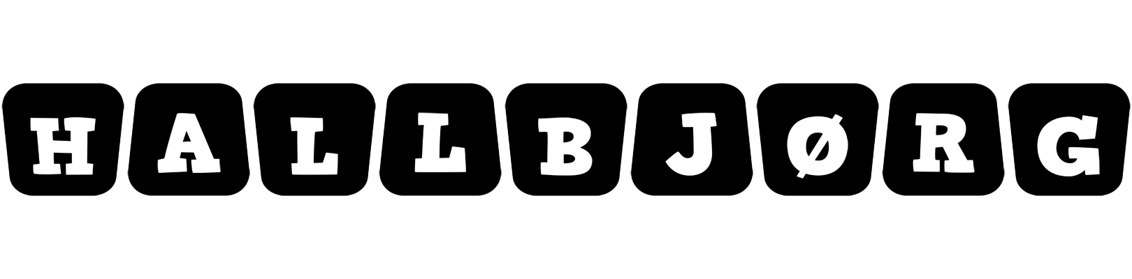 Hallbjørg racing logo