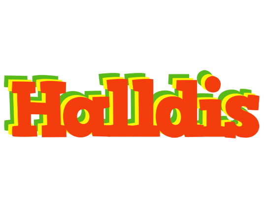 Halldis bbq logo