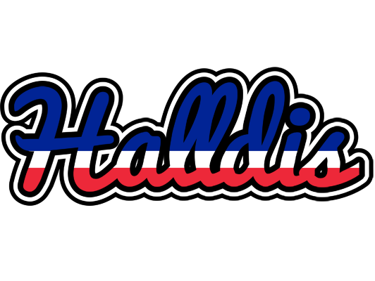 Halldis france logo