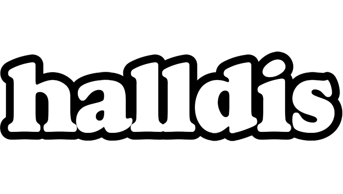 Halldis panda logo