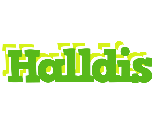 Halldis picnic logo