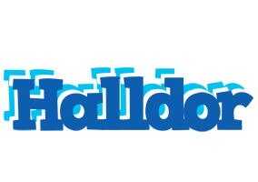 Halldor business logo
