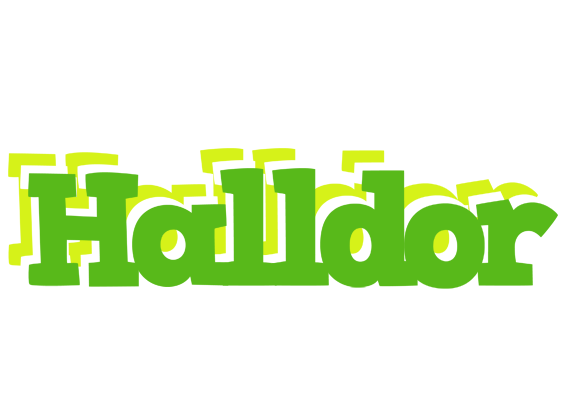 Halldor picnic logo