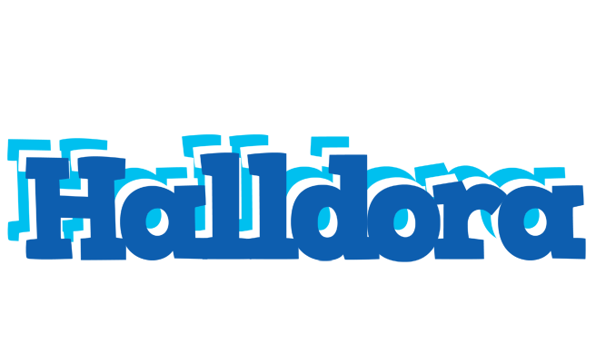 Halldora business logo