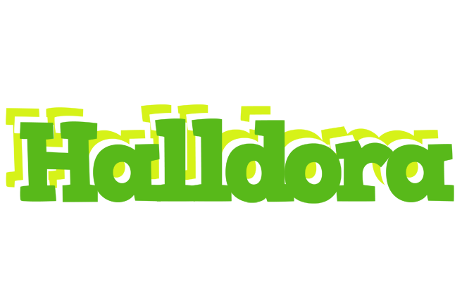 Halldora picnic logo