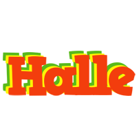 Halle bbq logo