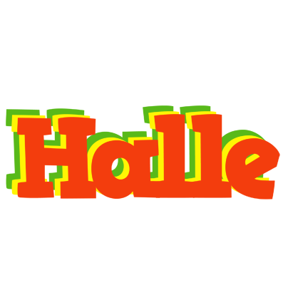 Halle bbq logo
