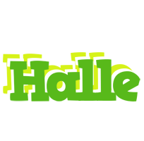 Halle picnic logo