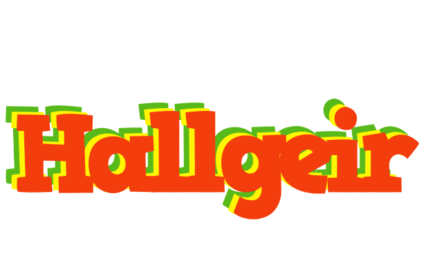 Hallgeir bbq logo