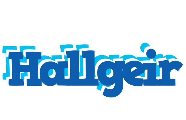 Hallgeir business logo