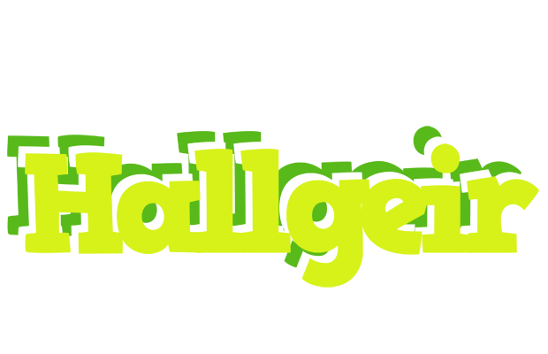 Hallgeir citrus logo