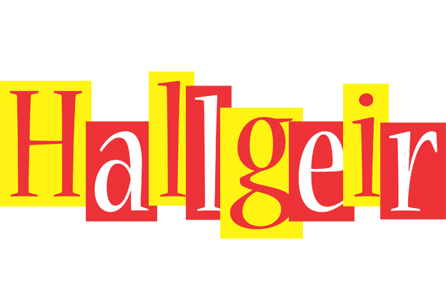 Hallgeir errors logo